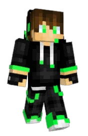 Skin preview