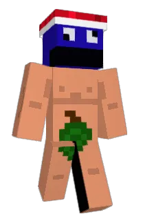 Front of Minecraft skin