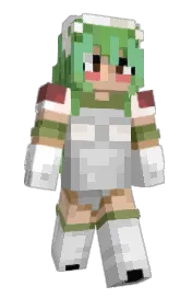 Skin preview