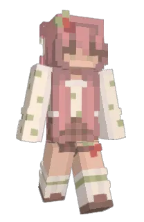 Front of mekyx's skin