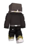 HizashiBee