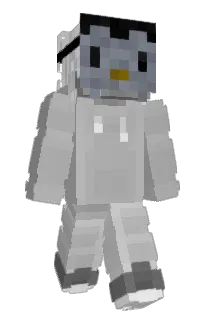 Front of P3ngu_'s skin