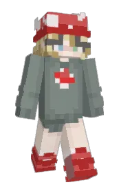 Skin preview