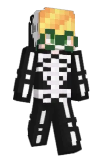 Front of SRJO4B's skin