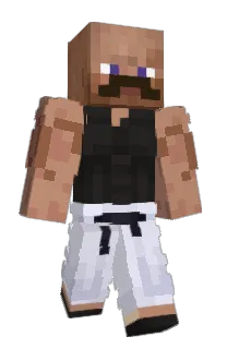 Front of x1x1's skin