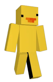 Front of quollit's skin