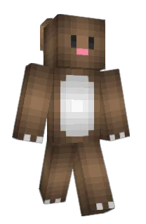 Front of Minecraft skin