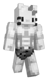 gallery and dusty gray Minecraft skin — Classic model