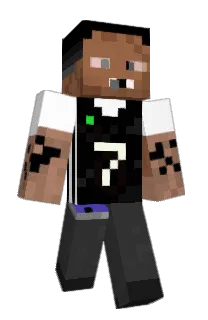 NonWallahPardon's Minecraft skin