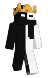 cod gray and white Minecraft skin — Slim model