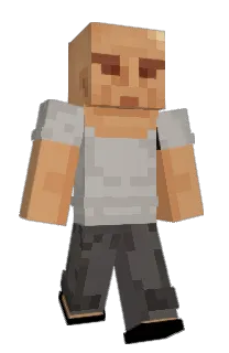 Front of jpegimage's skin
