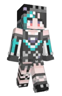 Front of bikkyy's skin