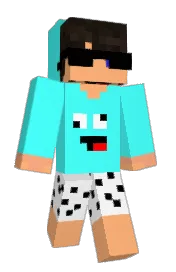 Skin preview
