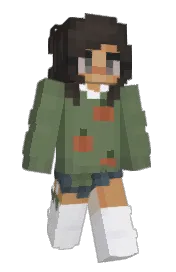 Skin preview
