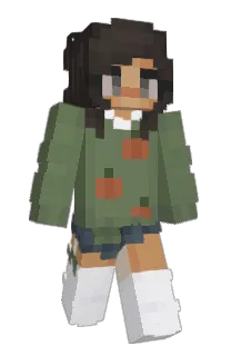 Front of SoupiestBook241's skin