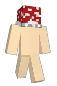 Solemni_Ann