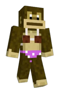 5Bones5 Minecraft avatar full body