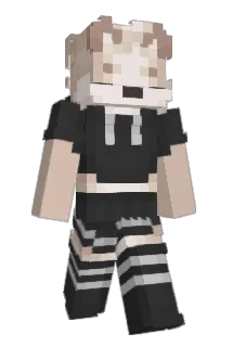 5M1B Minecraft avatar full body
