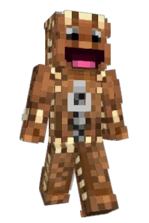 5_percent Minecraft avatar full body