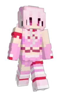 Front of dumkitty's skin