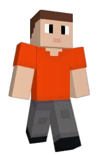 Front of Splashion's skin