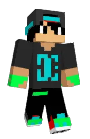 Skin preview