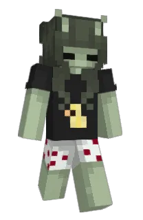 Roomzi's Minecraft skin