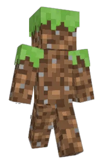 Front of Minecraft skin
