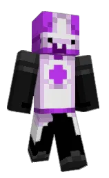 Minecraft skin — Classic model