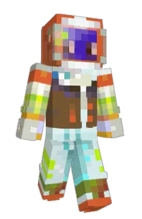 Front of endfiron's skin