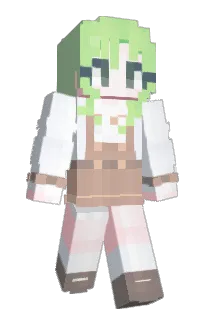 Front of s0onn's skin