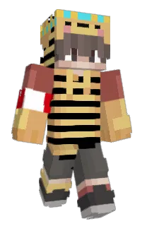 Front of 5wgy's skin