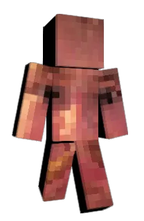 Front of Spuggit's skin