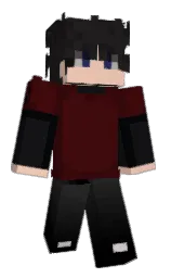 Minecraft skin — Classic model