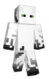 Minecraft skin — Classic model