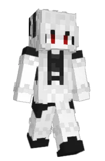 Front of PMGx's skin