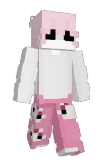 Front of HT5K1's skin