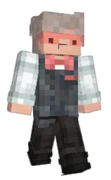 Minecraft skin — Classic model