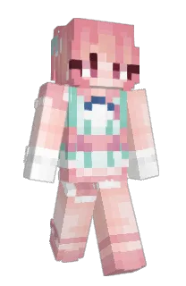 Front of tomoeudagawa's skin