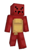 TurtleOnMC