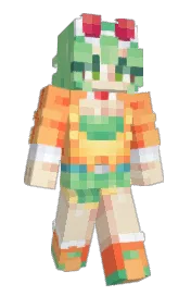 Skin preview