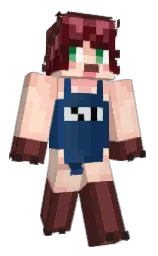saddle and manhattan Minecraft skin — Classic model