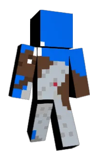 Front of HengJosh's skin