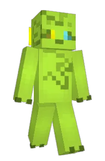 Front of kindwed's skin