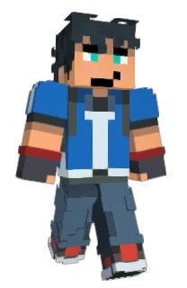 Front of Ninjaviggo11's skin
