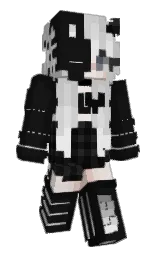 Minecraft skin — Classic model