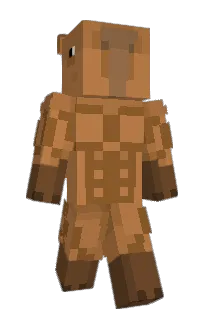 Front of addierose111's skin