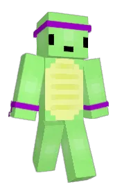 Skin preview