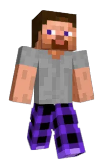 hdwsm's Minecraft skin