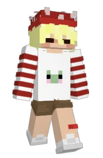 Front of duckswithguns's skin